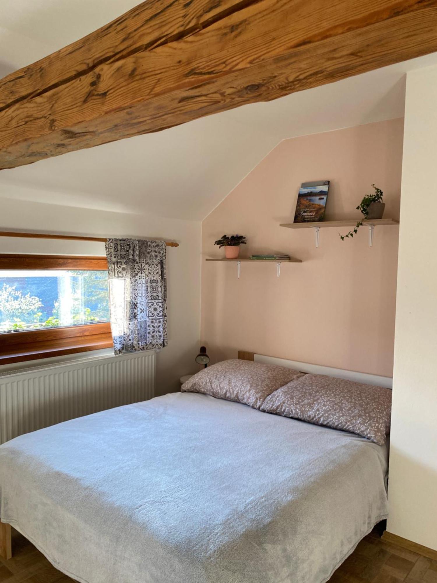 Apartman Na Vrsku Klenovice  Екстер'єр фото